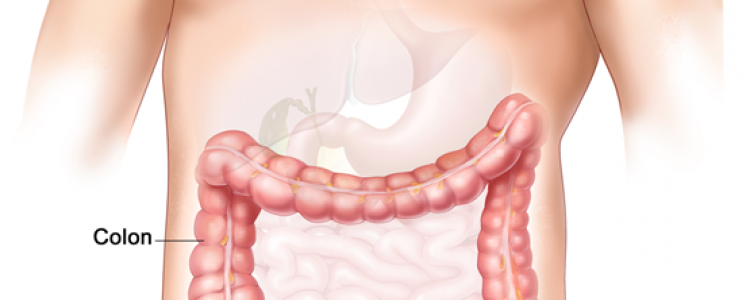 Retossigmoidoscopia